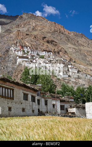 Karsha Kloster. Zanskar. Indien Stockfoto