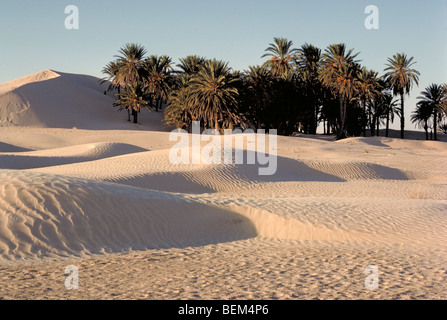 Elk121-2316 Tunesien, Grand Erg Oriental, Sahara Wüste in der Nähe von Douz Stockfoto