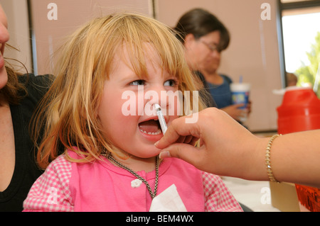 Eine 4 Jahre altes Mädchen ist für die 2009 H1N1 Influenza, auch bekannt als die Schweinegrippe, mit einem intranasalen Impfstoff geimpft. Stockfoto