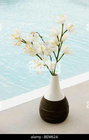 Blumen in Vase am Rand des Pools Stockfoto