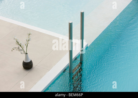 Blumen in Vase am Rand des Pools in der Nähe von Leiter Stockfoto