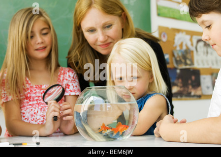 Volksschullehrer und Studenten versammelten sich um Goldfischglas Stockfoto