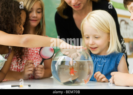 Volksschullehrer und Studenten versammelten sich um Goldfischglas, ein Mädchen kleben Finger in Wasser Stockfoto