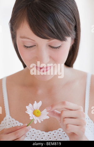 Frau zupfen daisy Stockfoto