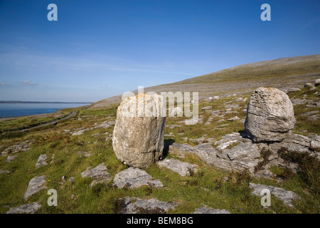 Findlinge (Felsbrocken aus glazialen Aktion), auf dem Burren, County Clare, Irland Stockfoto