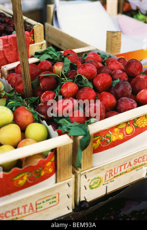 Pflaumen im Bauernmarkt, Italien Stockfoto