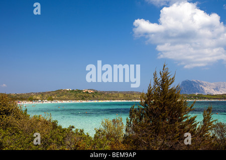 Cala Brandinchi, Sardinien, Italien. Smaragdgrünes Wasser Meer und die Insel Tavolara im Hintergrund Stockfoto