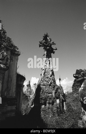 Shwe Indein Tempelanlage in der Nähe von Inle-See, Shan-Staat, Myanmar (Burma) Stockfoto