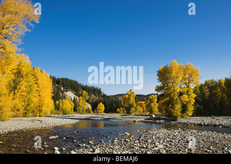 Snake River, Schwabacher Landing, Grand Teton NP, Wyoming, USA Stockfoto