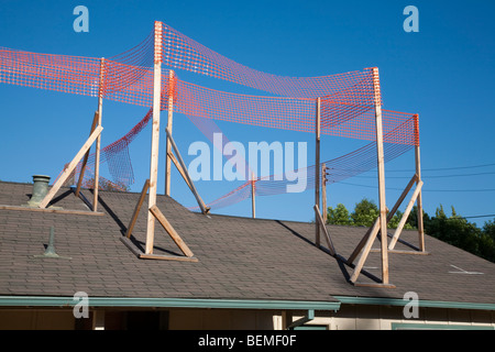 Kleine einzelne Familie Zuhause bereit für Großbauvorhaben. Es wird abgerissen und ersetzt werden. Silicon Valley, Kalifornien Stockfoto