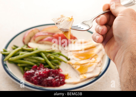 Die Hand eines Mannes mit einer Gabel mit einem Stück der Türkei darauf. Flachen DOF mit Teller mit Thanksgiving-Essen im Hintergrund. Stockfoto