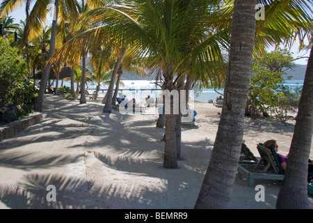 Urlauber entspannen unter Palmen am Strand im Bitter End Yacht Club Stockfoto