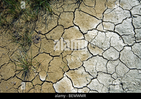 Abstrakte Muster der trockene rissige Ton Schlamm in ausgetrocknet Seegrund verursacht durch lang anhaltende Trockenheit im Sommer bei heißem Wetter Temperaturen Stockfoto