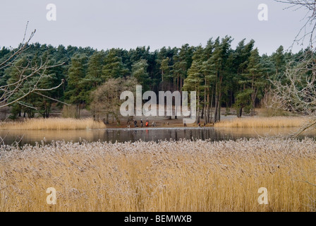 Frensham Teiche im Winter mit dem See zugefroren und Menschen am See Stockfoto