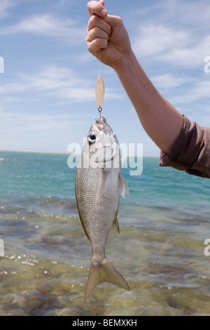 Fischer hält seinen Fang Stockfoto