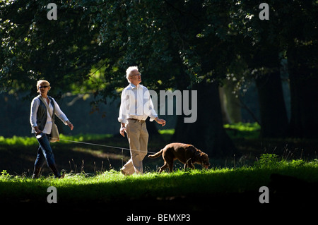 Älteres Ehepaar im Ruhestand, Wandern mit Hund an der Leine an sonnigen Tag in Laubwald im Sommer Stockfoto