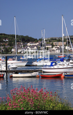 Deganwy Quays Marina an der Mündung der Conwy in Nordwales Westküste Stockfoto