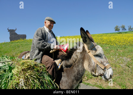 Osborne Stier Casabermeja Old Spanish Mann Bauer in Spanien Symbol Symbol Spaniens reisen. Lage Andalusien Stockfoto
