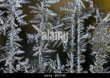 Eiskristalle / frost Blüten bilden auf gefrorenen Fensterscheibe während der Raureif im kalten winter Stockfoto