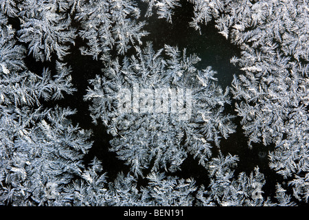 Eiskristalle / frost Blüten bilden auf gefrorenen Fensterscheibe während der Raureif im kalten winter Stockfoto