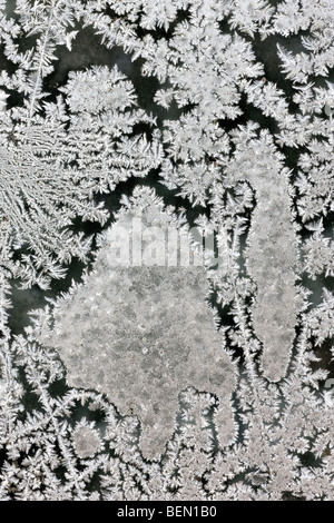 Eiskristalle / frost Blüten bilden auf gefrorenen Fensterscheibe während der Raureif im kalten winter Stockfoto