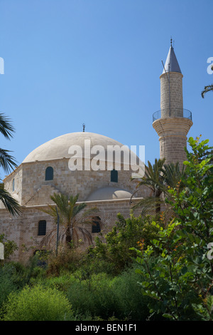 Hala Sultan Tekke Moschee Larnaca Zypern der Umm Haram-Moschee ist die drittheiligste Ort in der muslimischen Welt Stockfoto