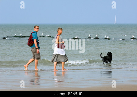 Paar Wanderer Wandern mit Hund im Wasser am Strand entlang der Nordseeküste im Sommer Stockfoto