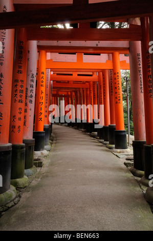 Torii Futter Wanderweg führt auf den Berg Inari, einmal das innere Heiligtum wurde zurückgelassen. Fushimi Inari Schrein. Kyoto Stockfoto