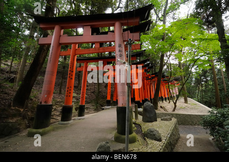 Torii Futter Wanderweg führt auf den Berg Inari, einmal das innere Heiligtum wurde zurückgelassen. Fushimi Inari Schrein. Kyoto Stockfoto