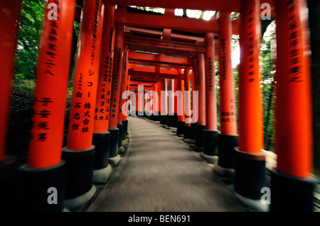 Torii Futter Wanderweg führt auf den Berg Inari, einmal das innere Heiligtum wurde zurückgelassen. Fushimi Inari Schrein. Kyoto Stockfoto