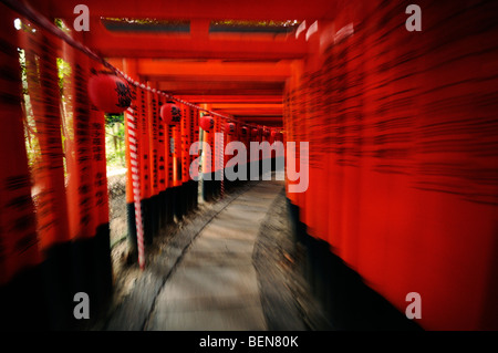 Torii Futter Wanderweg führt auf den Berg Inari, einmal das innere Heiligtum wurde zurückgelassen. Fushimi Inari Schrein. Kyoto Stockfoto