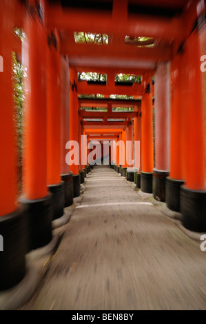 Torii Futter Wanderweg führt auf den Berg Inari, einmal das innere Heiligtum wurde zurückgelassen. Fushimi Inari Schrein. Kyoto Stockfoto