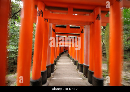 Torii Futter Wanderweg führt auf den Berg Inari, einmal das innere Heiligtum wurde zurückgelassen. Fushimi Inari Schrein. Kyoto Stockfoto