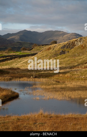 Kelly Hall Tarn auf Torver im englischen Lake District mit Wetherlam Berg hinter Stockfoto