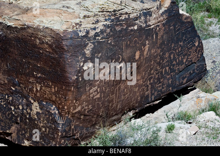 Zeitung-Rock zeigt indianische Felszeichnungen der Anasazi in the Petrified Forest National Park, Arizona, USA Stockfoto