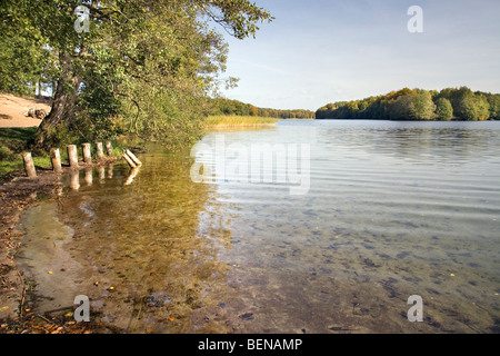 Liepnitzsee, Wandlitz, Barnim, Brandenburg, Deutschland Stockfoto