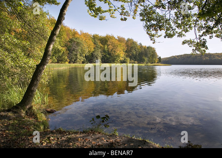 Liepnitzsee, Wandlitz, Barnim, Brandenburg, Deutschland Stockfoto