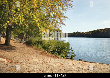 Liepnitzsee, Wandlitz, Barnim, Brandenburg, Deutschland Stockfoto