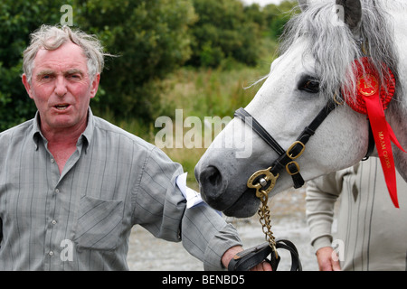 Mann mit einem Connemara Pony-Hengst auf der Maam Cross Pony Show im Juli 2008, Irland Stockfoto