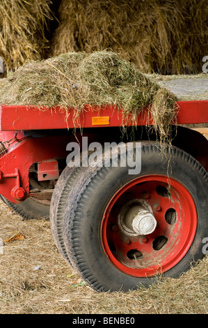 Ein roten Anhänger in einer Scheune mit Heu beladen Stockfoto
