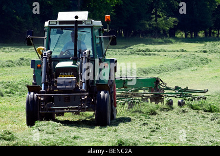 Traktor mit Mähwerk / Cutter schneiden Heu in Wiese auf Ackerland im Herbst Stockfoto