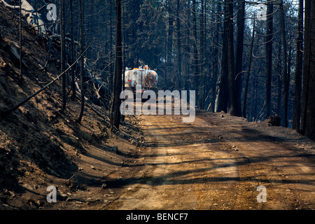 Kalifornien-Ritter ein Lauffeuer Verwüstung im Stanislaus National Forest. CALFIRE / CDF Stockfoto