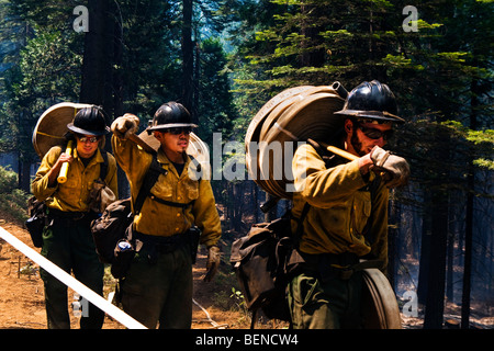 Wildland Feuerwehrleute in Kalifornien Ritter ein Lauffeuer im Stanislaus National Forest. CALFIRE / CDF Stockfoto