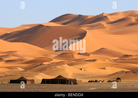 Beduinenzelte und Kamele Dromedar (Camelus Dromedarius) unter den roten Sanddünen, Erg Chebbi, Sahara Wüste, Marokko, Nordafrika Stockfoto