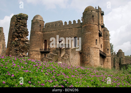 Fasilides Burg / Fasil Ghebbi in Gondar / Gonder, Amhara in Äthiopien, Ostafrika Stockfoto