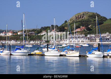 Deganwy Quays Marina an der Mündung der Conwy in Nordwales Westküste Stockfoto