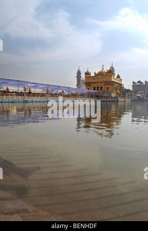 Goldenen Tempel in Amritsar Punjab, Indien Stockfoto