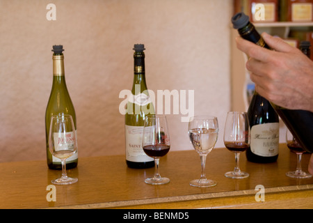 Weinverkostung im genossenschaftlichen Keller im Beaujolais Stockfoto