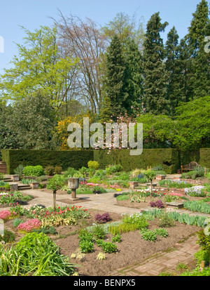 formaler Garten im Frühjahr Urn Tulpen Pfade Heuchera Iris Steinbrech [Newby Hall] Ripon [North Yorkshire] Stockfoto