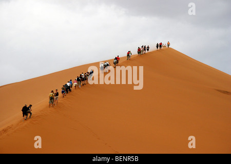 Touristen Klettern rote Sand-Dünen im Sossusvlei / Sossus Vlei in der Namib-Wüste, Namibia, Südafrika Stockfoto